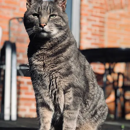 Lägenhet Gemuetliche Bauernkate Auf Dem Hof Hospitalmuehle *