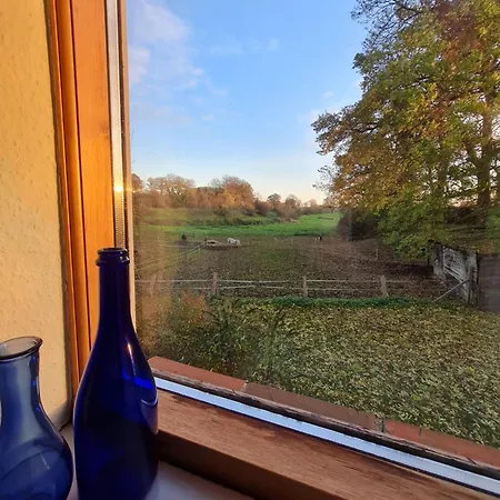 Gemuetliche Bauernkate Auf Dem Hof Hospitalmuehle Neustadt in Holstein